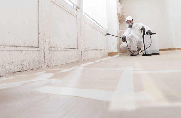 24/7 Emergency Commercial Mold Remediation experts in Halifax, VA