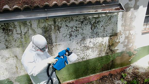 Top rated local Commercial Mold Remediation specialists in Halifax, VA